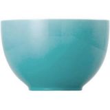 Thomas Sunny Day Turquoise Msli-Schale 12 cm